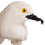 Sculpture onyx Radium Bird