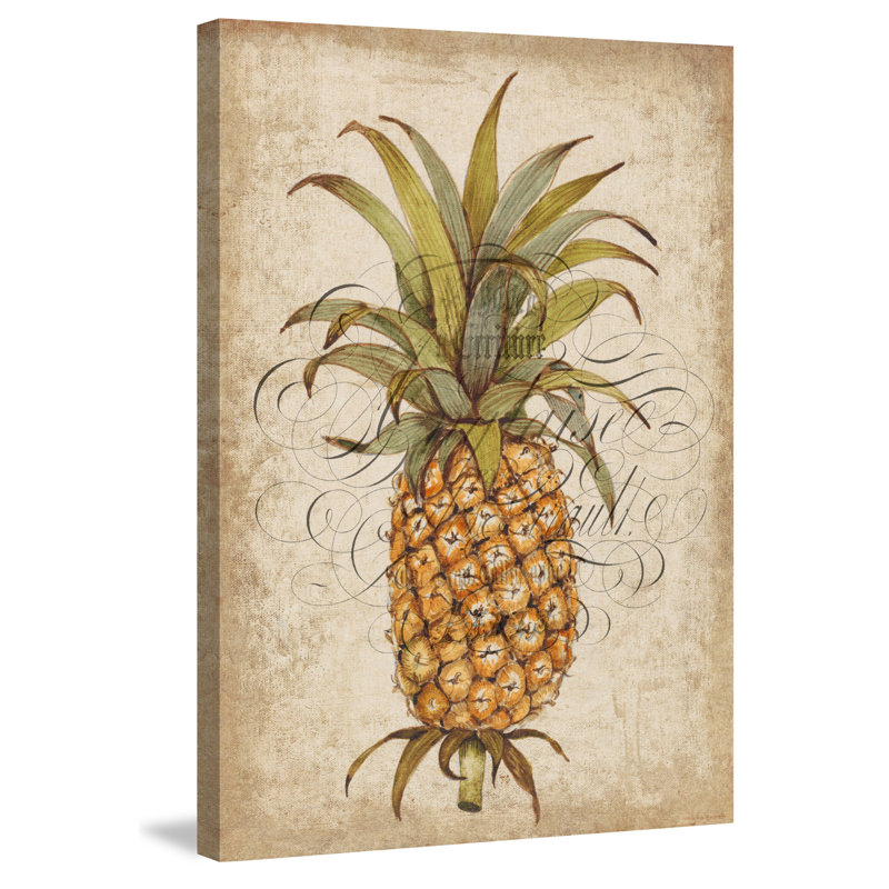 "Pineapple Study II" Print on Wrapped Canvas, 36" H x 24" W