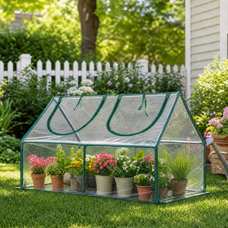 Masyardi 4'x2'x2' Mini house, Clear
