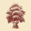 « old growth », art sur toile
