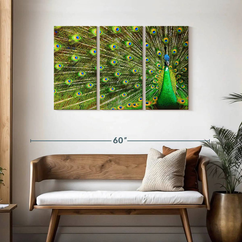 Brampt Showing Off Peacock Feathers, 28" H x 45" W