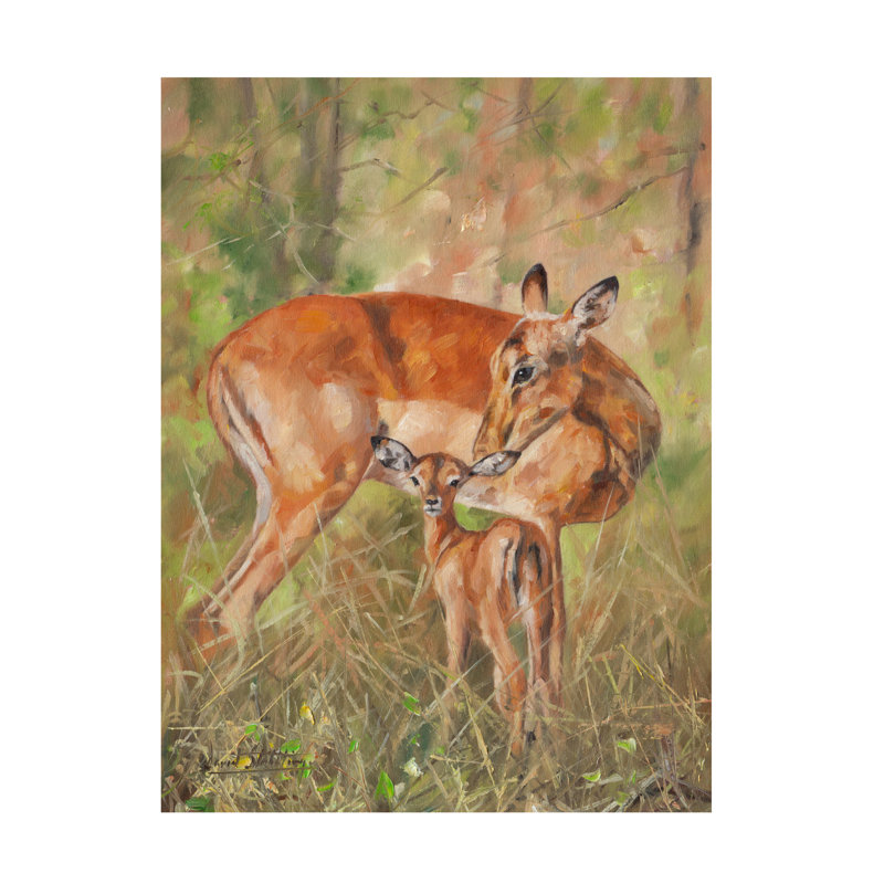David Stribbling Impala And Young Canvas Art, 24" H x 32" W