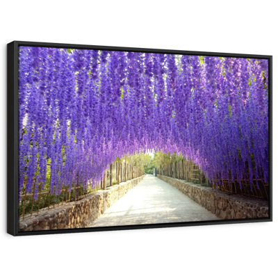 Through The Wisteria Tunnel Canvas Print