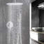 Pomme de douche 10 pouces et unité portable en nickel brossé pour une décoration confortable dans la salle de bain