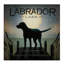 « oasis black dog-labrador lake », reproduction d’impression sur toile tendue-31878294