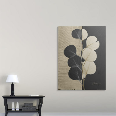 Manigault Albert Koetsier - Unframed Photograph