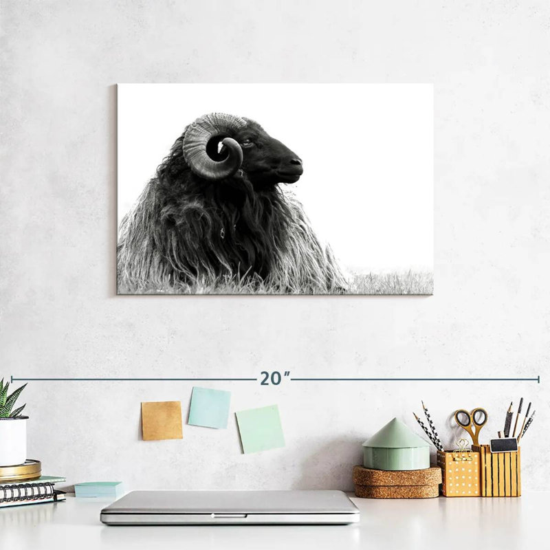 Brampt Bighorn Ram, 8" H x 12" W