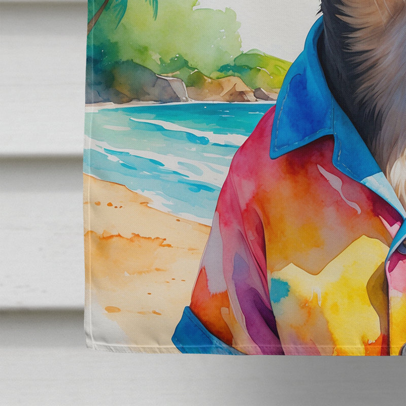 Drapeau de la maison esquimau américain, Pinscher miniature