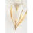 Porcelain Flowers