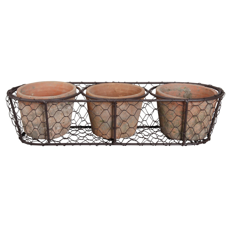 3 Aged Terracotta Pots in Wire Basket