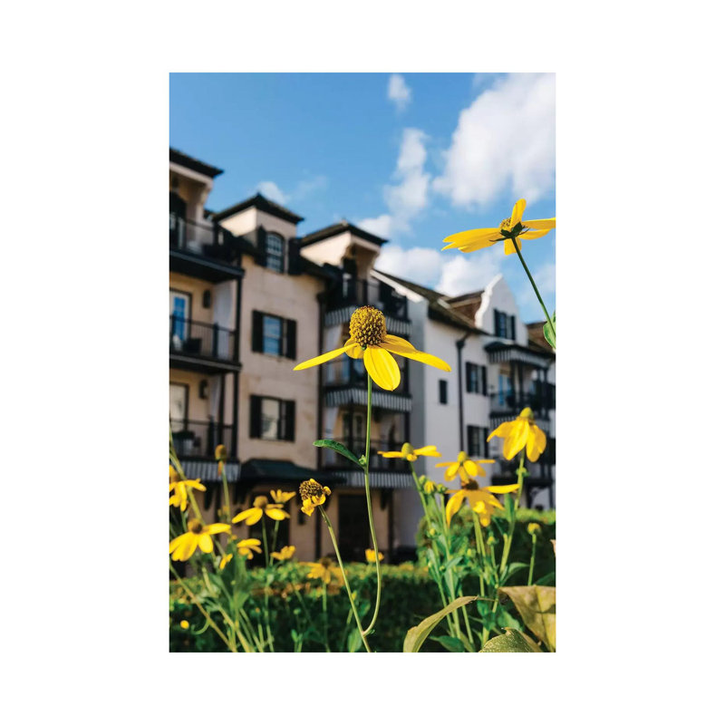 Rosemary Beach Blooms 1 Piece Wall Art on Canvas, 30.48cm H x 20.32cm W x 1.91cm D, Wrapped Canvas