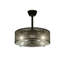 Ceiling Fan with LED Lights