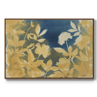 Pivoine