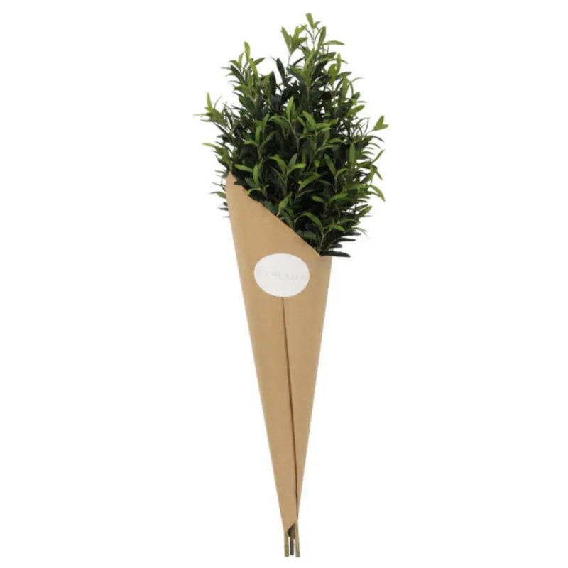 48" Artificial Olive Branch Stems