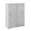 Cassand Multipurpose Cabinet Olathe, Shoe Cabinet With 2 Doors, 70X36H103 Cm