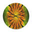 Horloge murale moderne en bois jaune vif sur fond vert-63618698