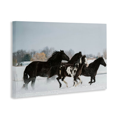 Toile «Winter Herd of Horses», conception par Amy Carroll