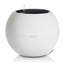Pot Planter-332018649-393093552