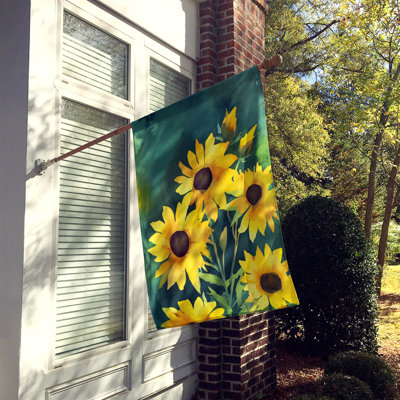 Drapeau de maison en polyester à double face H 40 po x l 28 po