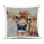 Coussin Freckles The Cow Portrait-124527835