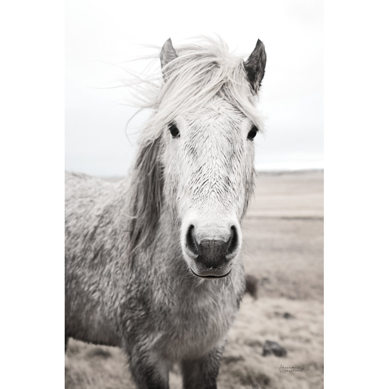 Heida I BW by Laura Marshall - Wrapped Canvas Print, 46cm H x 30cm W