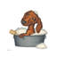 Dachshund Bath - Print on Canvas-1860830240-1867025513