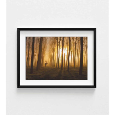 Cerf dans la lumière du matin | Forêt, reproduction de photo | Art mural nature