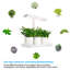 Lampes de culture intégrées à lumière DEL, à spectre complet pour le jardinage intérieur