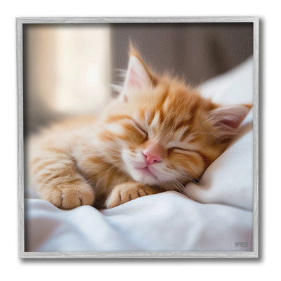 Sleeping Orange Kitten Framed Giclee Art by RB