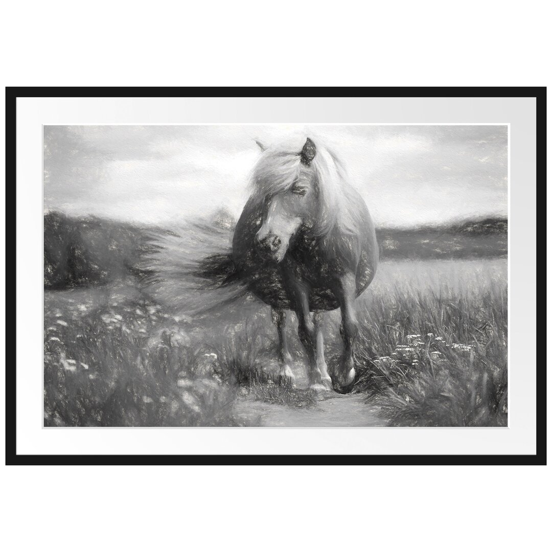 Gerahmtes Papierbild Shetlandpony auf der Wiese