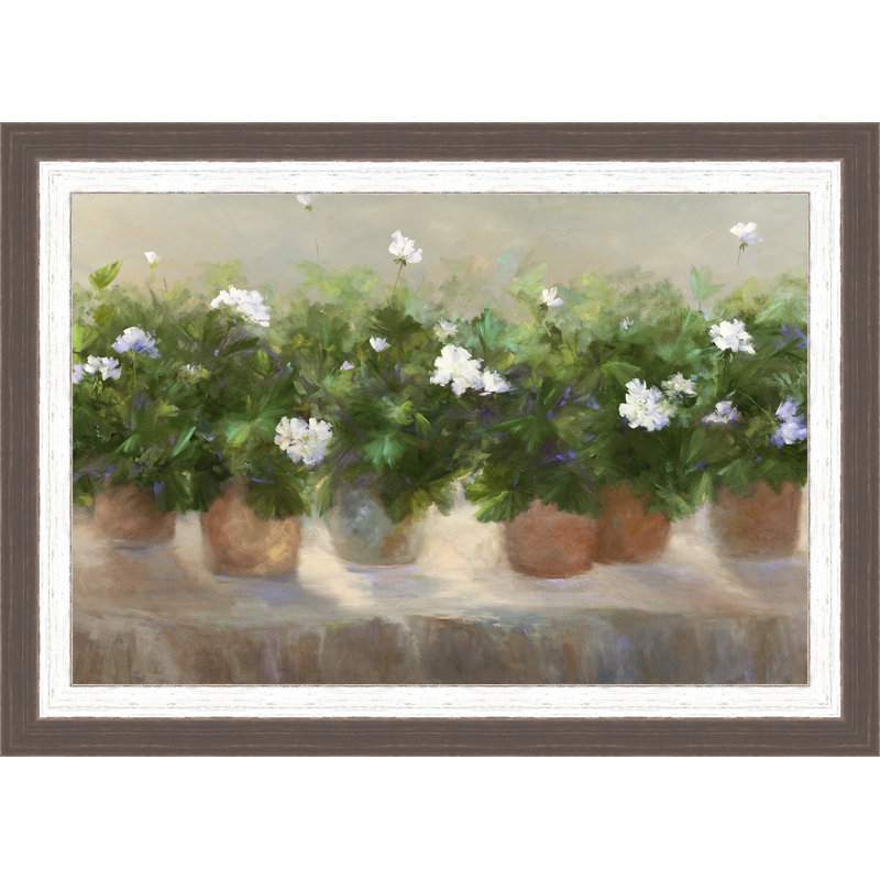 « white geraniums », reproduction d’art encadrée