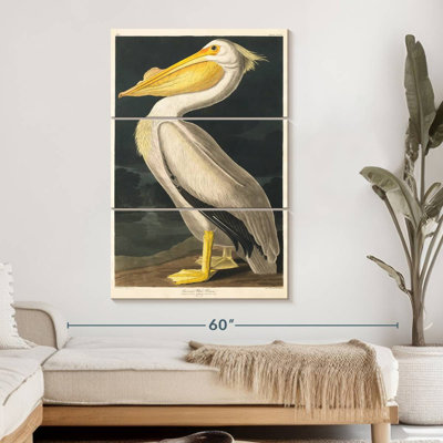 Ensemble de 3 pièces sur toile American American Pelican