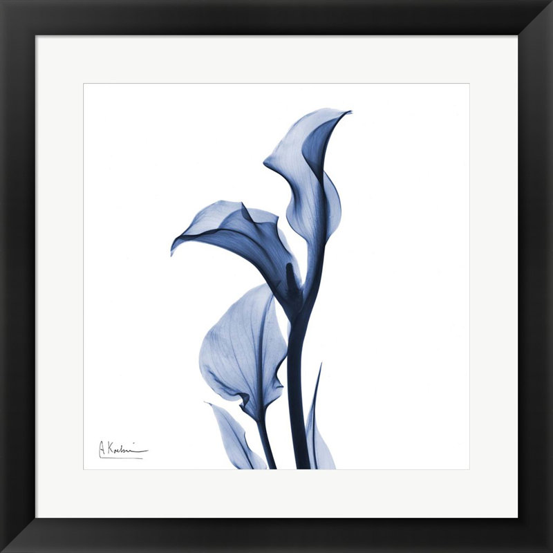 «Inda Calla Lily» par Albert Koetsier - peinture encadrée