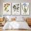 Nature imprimé Botanicals V - ensemble de 3 reproductions sur toile-97708520-97708514