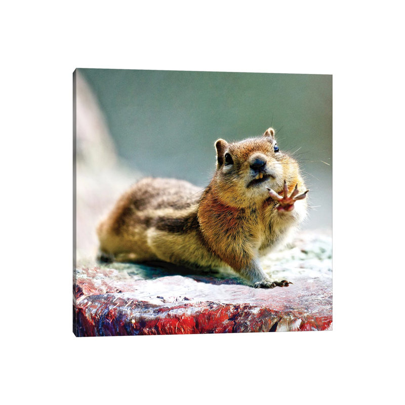 Talk To The Hand - Chipmunk Art by OLena Art - Wrapped Canvas Print, 66.04cm H x 66.04cm W x 1.91cm D