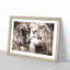 Pair of Loving Lions - Picture Frame Graphic Art Print on MDF-55735707-55735705