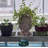 Statue Planter