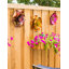 Jeu de jardin fleur Dexter
