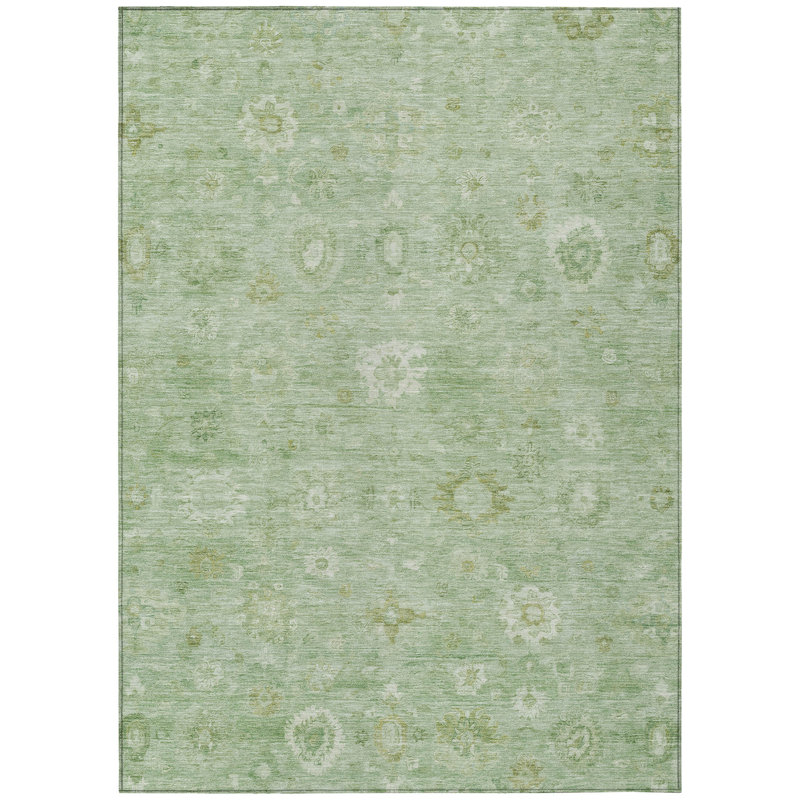 Machine Washable Indoor/Outdoor Xhevrie Aloe Rug, Rectangle 2'6" x 3'10"