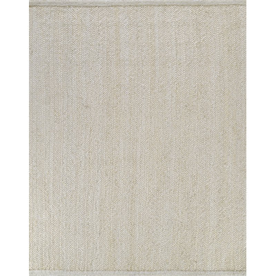 Jute / Sisal Area Rug in Beige