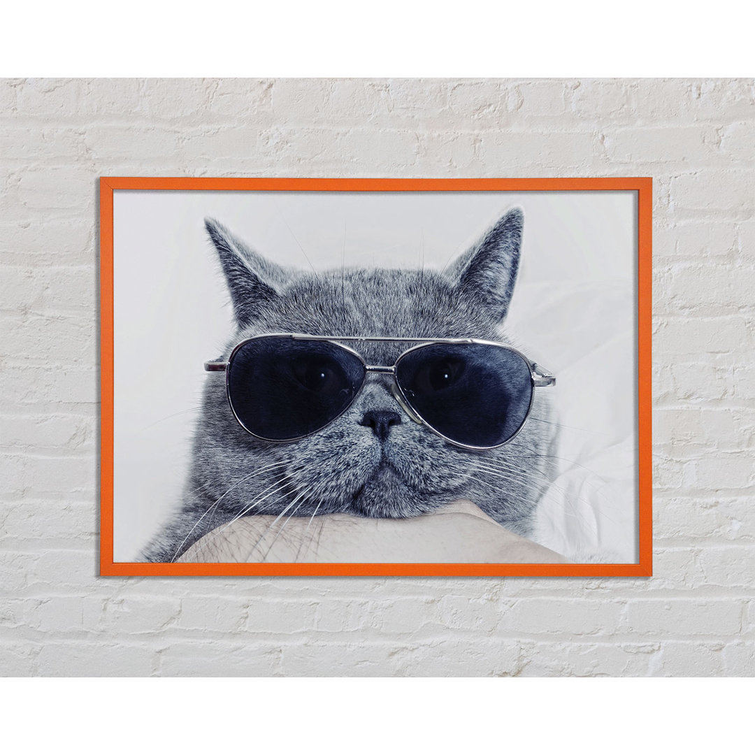 Furlow Kitty Cat Cool - Einzelner Bilderrahmen Kunstdrucke