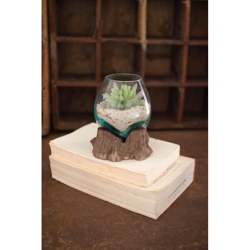 Petit bol en verre soufflé Kalalou avec base en bois flotté naturel - H 5,5 po