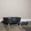 Samuel Alexander Pet Bowl-109272062