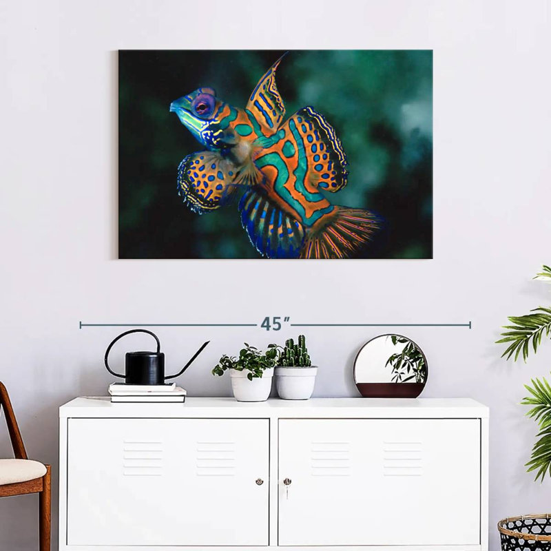 Brampt Mandarin Dragonet, 24" H x 36" W