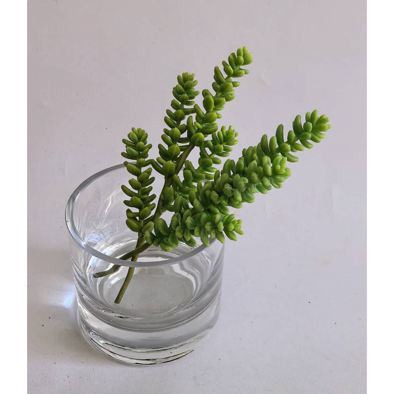 SUCCULENTE PVC 8 ​​po, Green