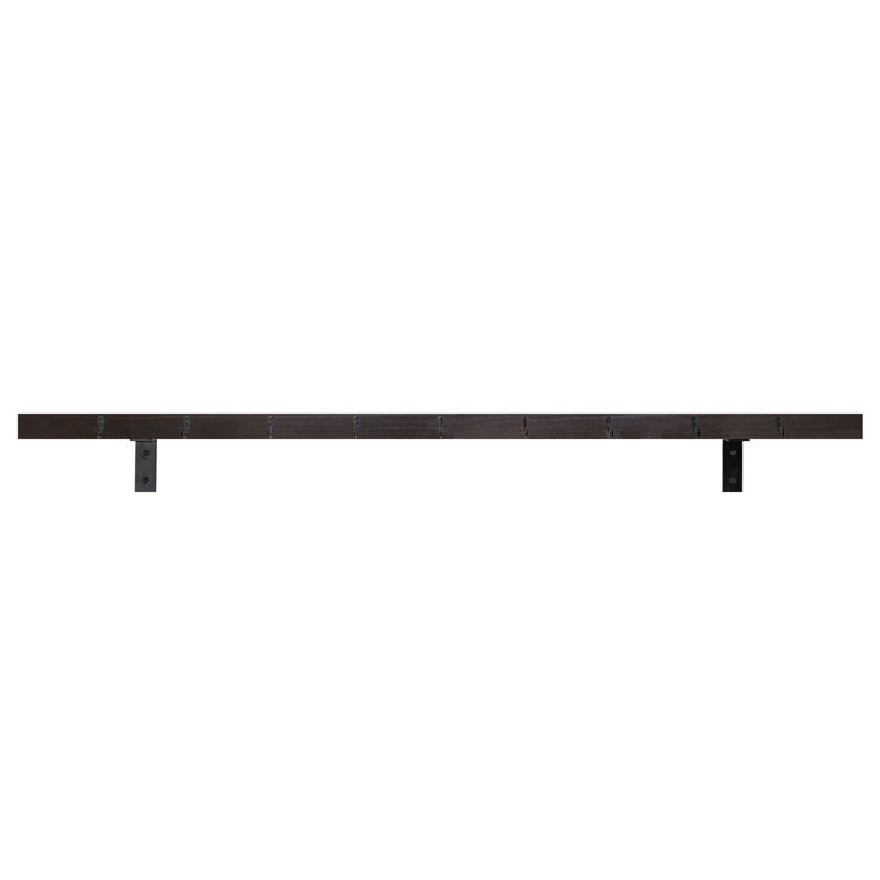Rayne Plate Display Shelves With Hooks, Ebony, 60/3/2