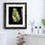 Frond - reproduction de cadre photo sur papier-424094218-424094335