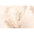 Dove Ivory Rug 5'0" x 8'0"-2007086900