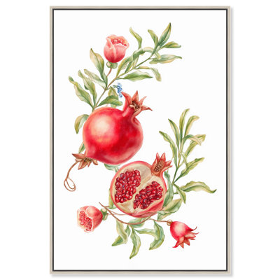 Pomegranate Bloom II Canvas Print Summer Art Prints by Art Remedy