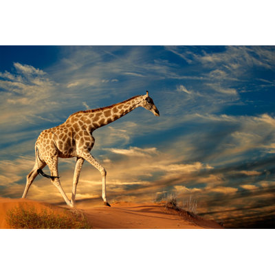 Giraffe on Sand Dune 1 Piece Wrapped Canvas Wall Art